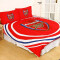 Housse de couette Arsenal FC arsenal bedding - pulse duvet 135x200 cm 200x200 cm - miniature variant 1