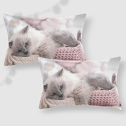 Housse de couette Chat marron 200x200 cm variant 3 