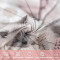 Housse de couette Chat marron 200x200 cm - miniature variant 3