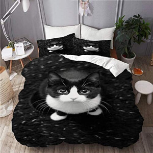 Housse de couette Chat 140x200 cm 220x240 cm 240x260 cm