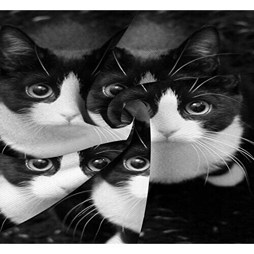 Housse de couette Chat 140x200 cm 220x240 cm 240x260 cm variant 3 