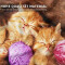 Housse de couette Chat 135x200 cm - miniature variant 6