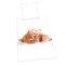 Housse de couette Chat multicolore 135x200 cm - miniature