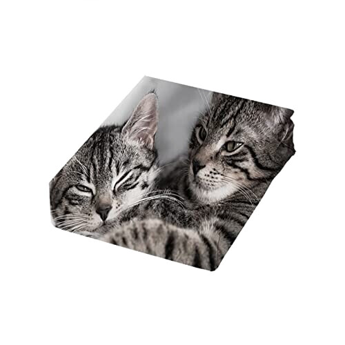 Housse de couette Chat tigré gris 220x240 cm variant 0 