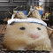 Housse de couette Hamster style- 135x200 cm - miniature variant 1