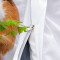 Housse de couette Hamster zl 240x260 cm - miniature variant 5