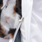 Housse de couette Hamster zl 240x260 cm - miniature variant 5