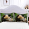 Housse de couette Hamster zl 240x260 cm - miniature variant 4