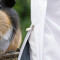Housse de couette Hamster zl 240x260 cm - miniature variant 5