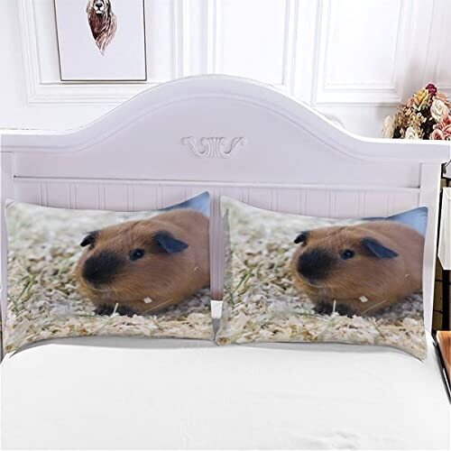 Housse de couette Hamster couleur 240x260 cm variant 4 