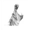 Housse de couette Hippopotame noir et blanc 220x220 cm - miniature variant 1