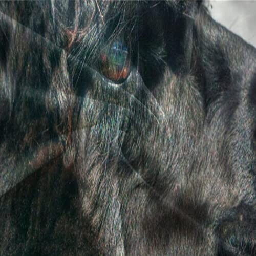 Housse de couette Mouton style- 135x200 cm variant 4 