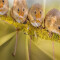 Housse de couette Souris style 220x240 cm - miniature variant 5