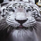 Housse de couette Tigre blanc 220x240 cm - miniature variant 1