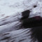 Housse de couette Tigre blanc 220x240 cm - miniature variant 2