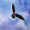 Housse de couette Tigre aigle 140x200 cm 160x200 cm 200x200 cm 220x240 cm - miniature variant 6