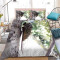 Housse de couette Cigale multicolore 90x190 cm 140x200 cm 200x200 cm 220x240 cm 240x260 cm - miniature