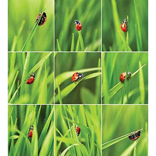 Housse de couette Coccinelle vert rouge 220x220 cm variant 0 