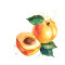 Housse de couette Abricot rust orange pâle 130x200 cm - miniature variant 1