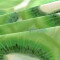 Housse de couette Kiwi multicolore - miniature variant 2