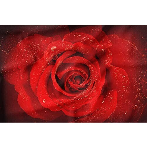 Housse de couette Rose - Fleur -  rouge 135x200 cm 200x200 cm 220x240 cm variant 3 