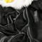 Housse de couette noir 220x240 cm - miniature variant 4